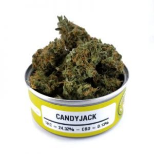 Buy Candy Jack Online