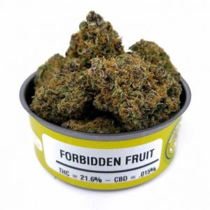 Forbidden Fruit Weed