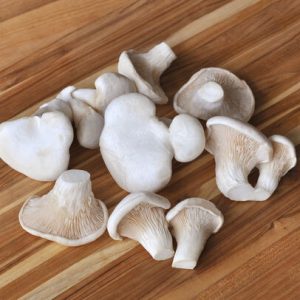 Organic Nebrodini Mushrooms