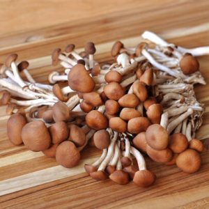 Organic Velvet Pioppini Mushrooms