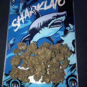 Sharklato Strain For Sale